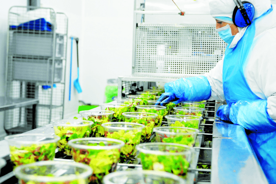 Audit Agroalimentaire Background